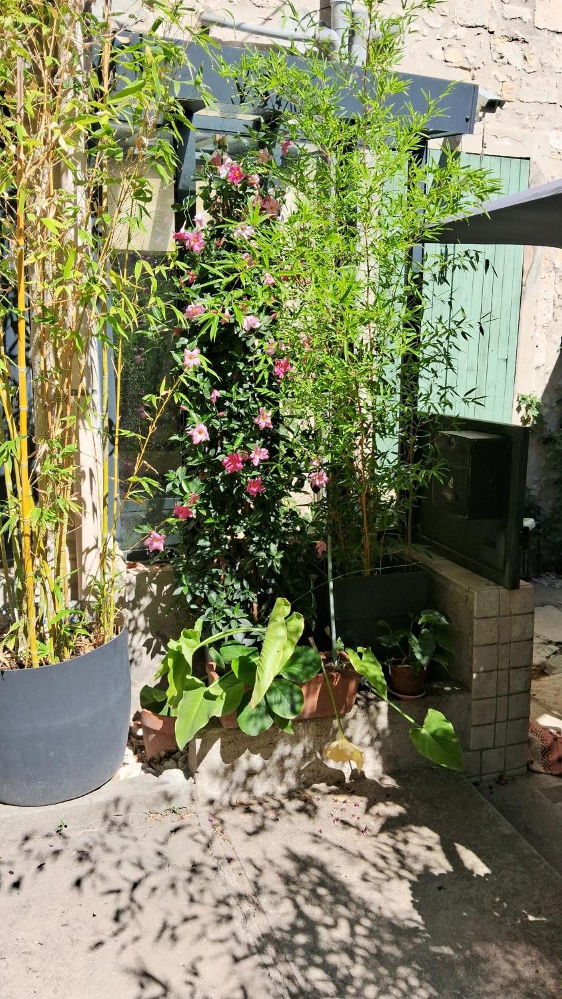 Le Clos Du Rouet Tarascon Exteriör bild